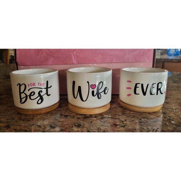 Succulent Pots with Bamboo Bottoms "Best Wife Ever" Plant Pots Gift for Wife - Picture 5 of 9